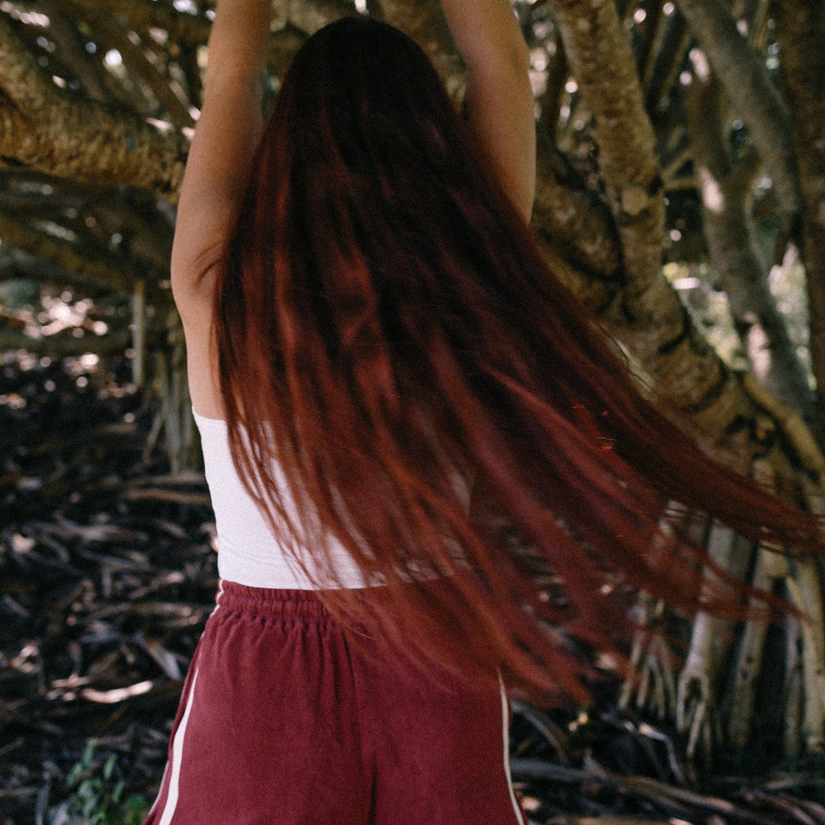 terry towelling short in berry