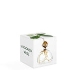 Avocado Vase Clear by Ilex Studio