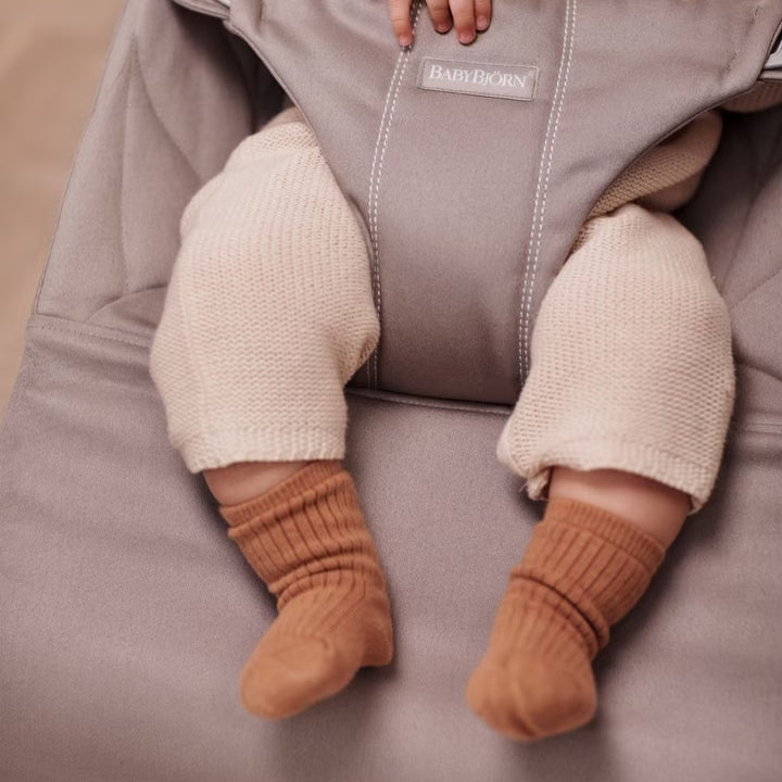 best baby bouncer brand - Baby Bjorn