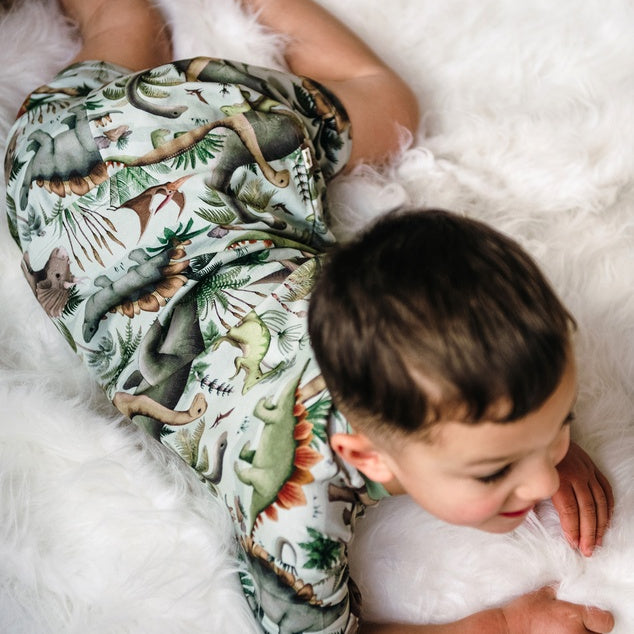 Boys dinosaur pyjamas