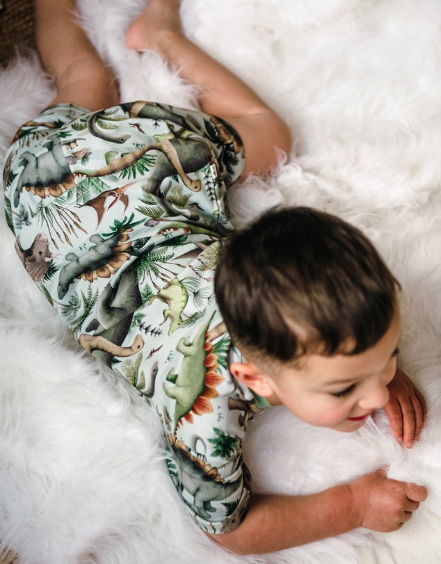 Boys dinosaur pyjamas