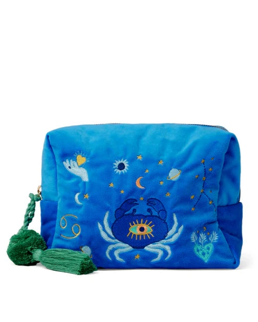 Pisces cosmetic case blue