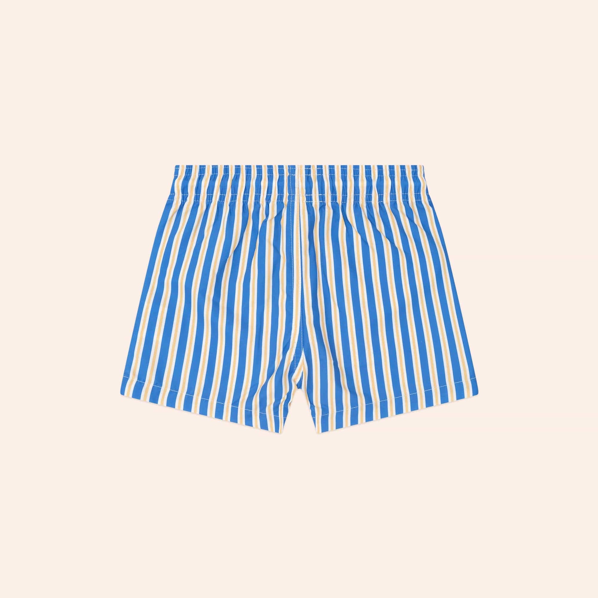 Back view of the Collegiate Stripe Boardshort | Huxbaby