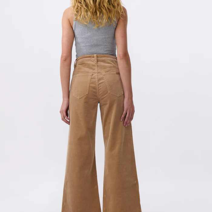 camel colour cord jean