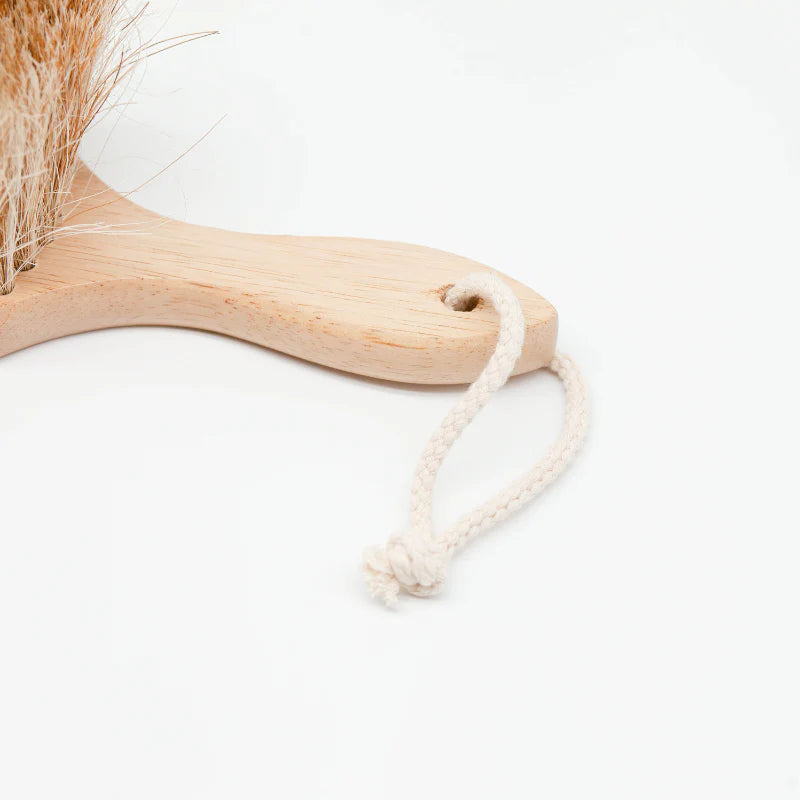 handle details of brush for removing sand