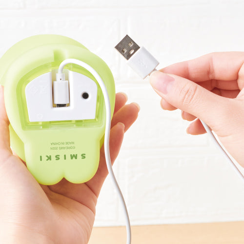 Smiski Lamp Plug