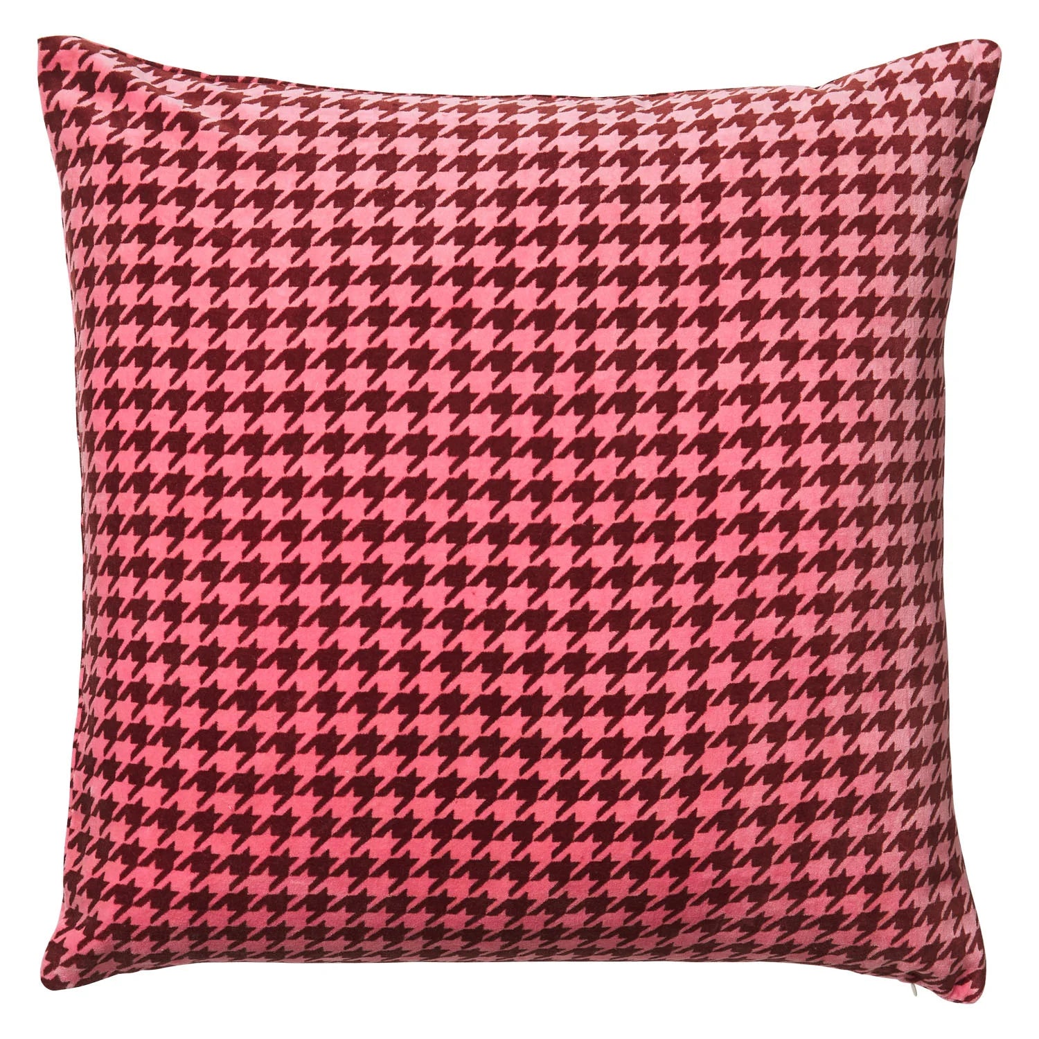 Vinita Velvet Cushion Cosmos by Sage & Clare