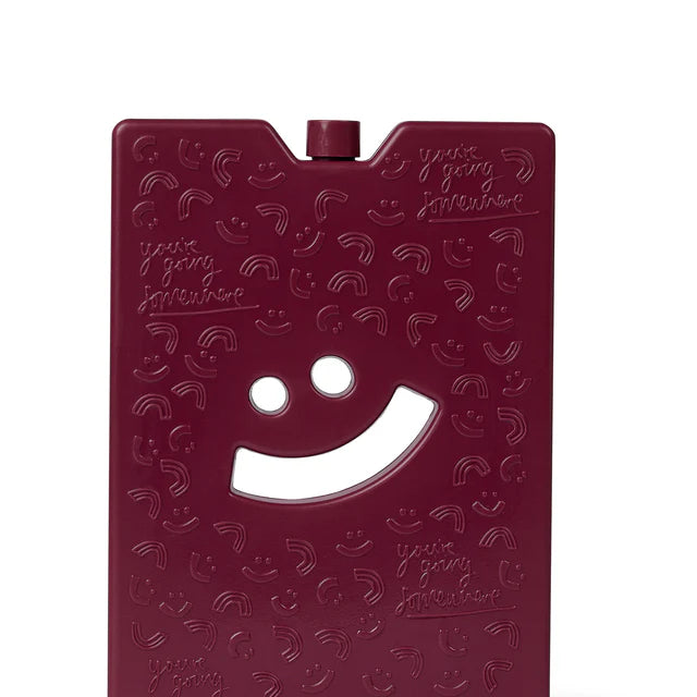 ice brick large burgundy the somewhere co