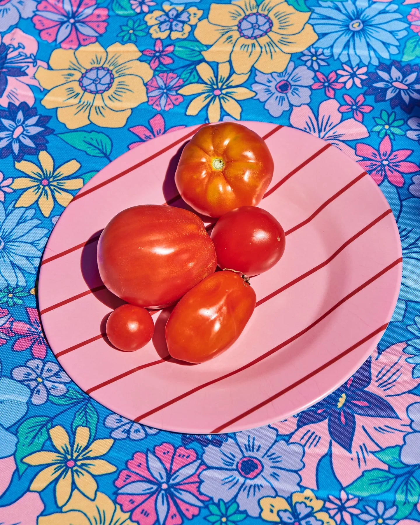 Iced Vovo Stripe Dinner Plate 2P Set by Kip and Co