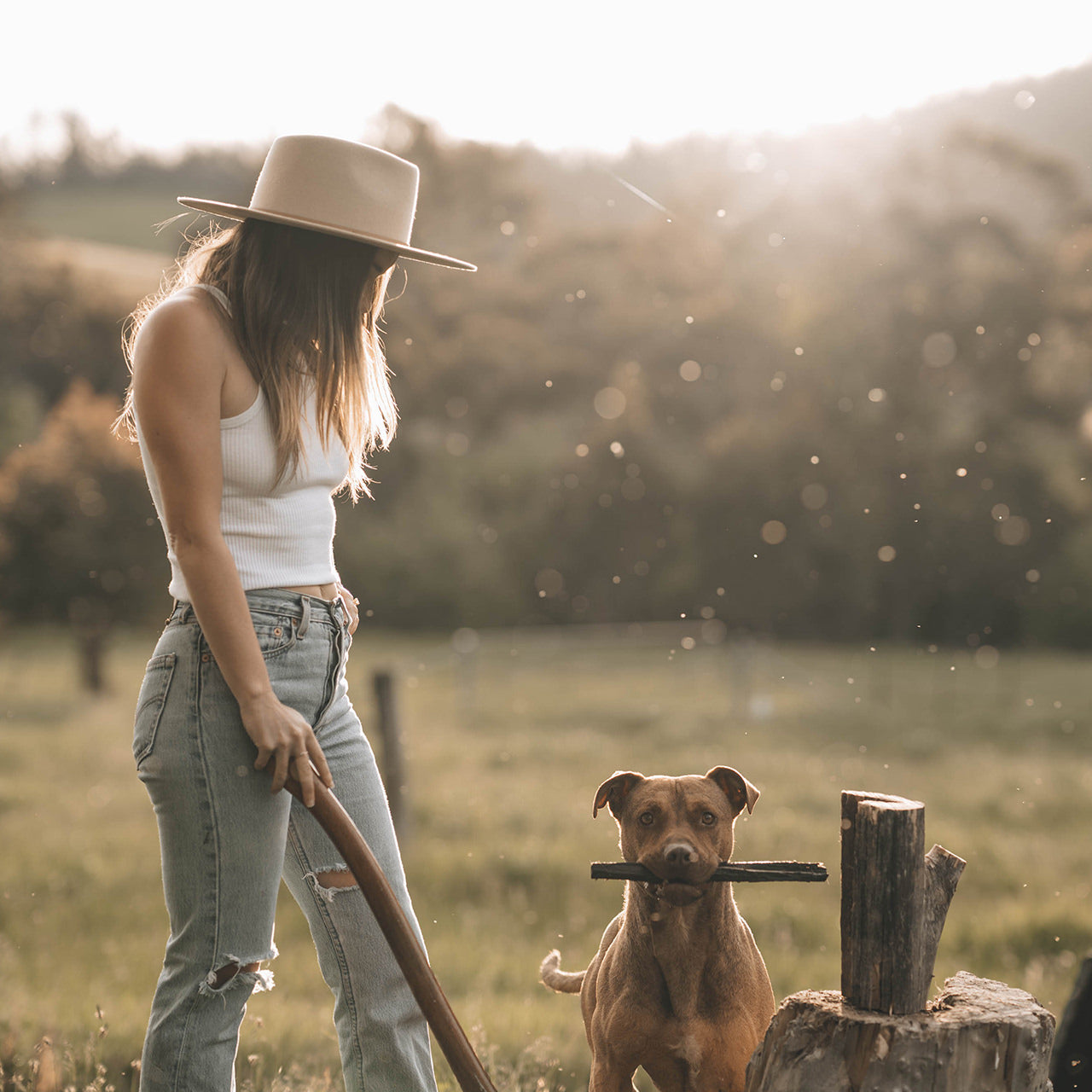 Andy Cream - Little Cove Collective