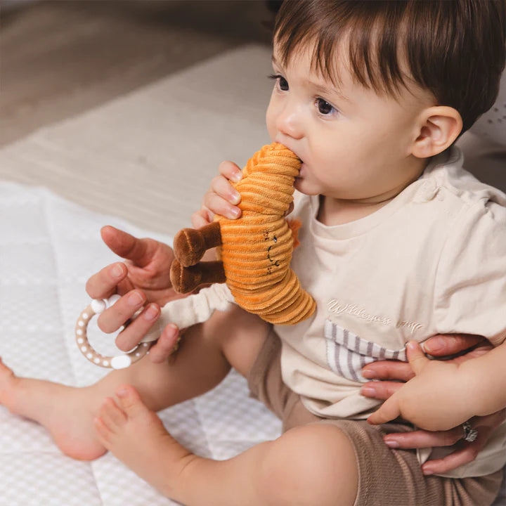 baby playing with croissant stroller toy