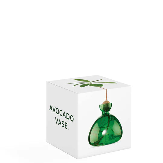 Avocado Vase Emerald Green by Ilex studio