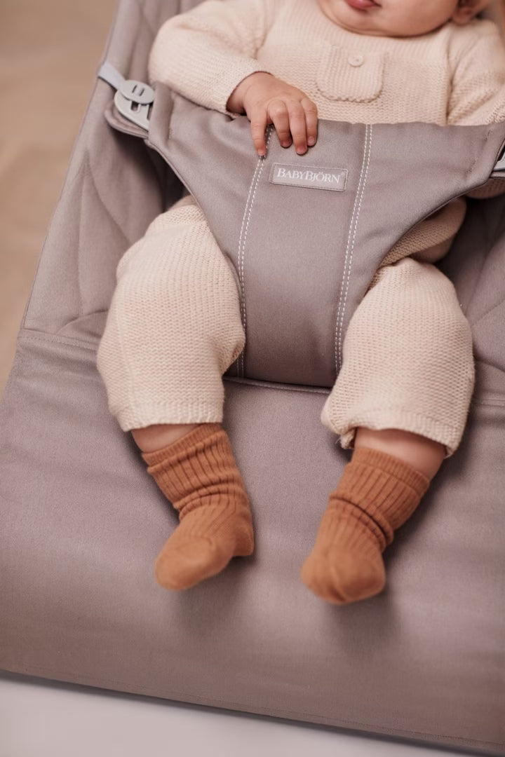best baby bouncer brand - Baby Bjorn