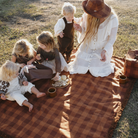 Family picnic scene on Camp Picnic Rug by Wandering Folk showing outdoor durability and comfort