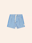 Collegiate Stripe Boardshort | Huxbaby