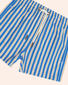 Close up of Collegiate Stripe Boardshort | Huxbaby