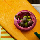 Pink marbled resin Jeanne Bowl filled with passion fruit and limes placed on wet orange surfboard poolside