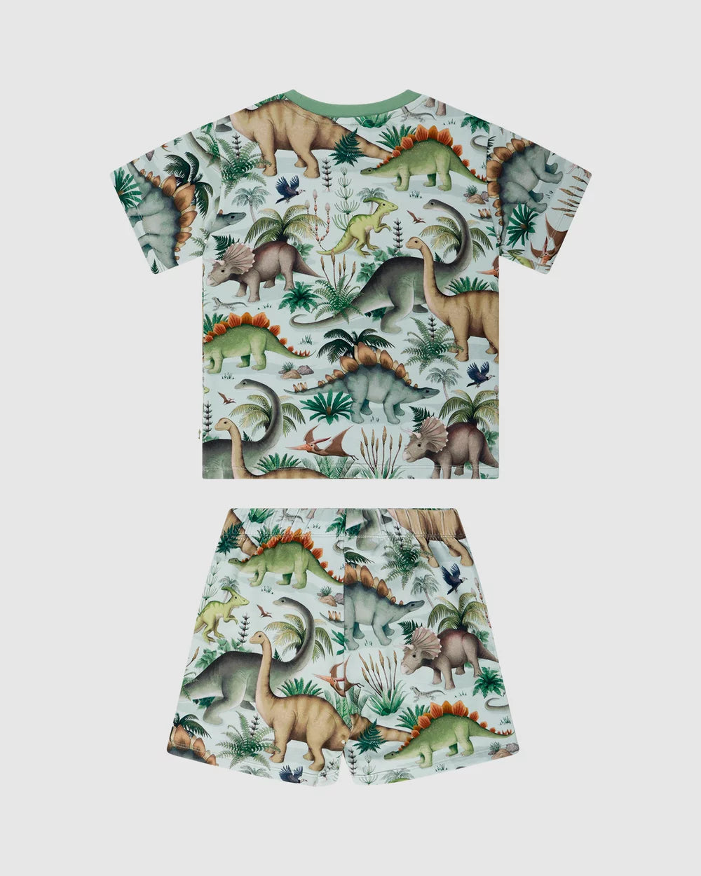 Boys dinosaur pyjamas