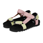 Sandal Tooth Wedge Sorbet by Rollie