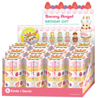 Sonny Angel Birthday Gift packaging