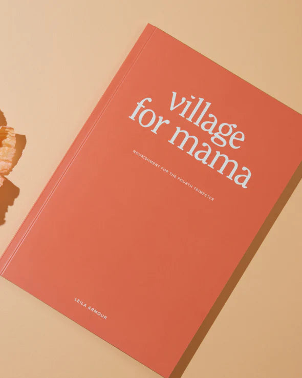 Village for mama book new mum gift idea