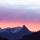 mountains with rosehips