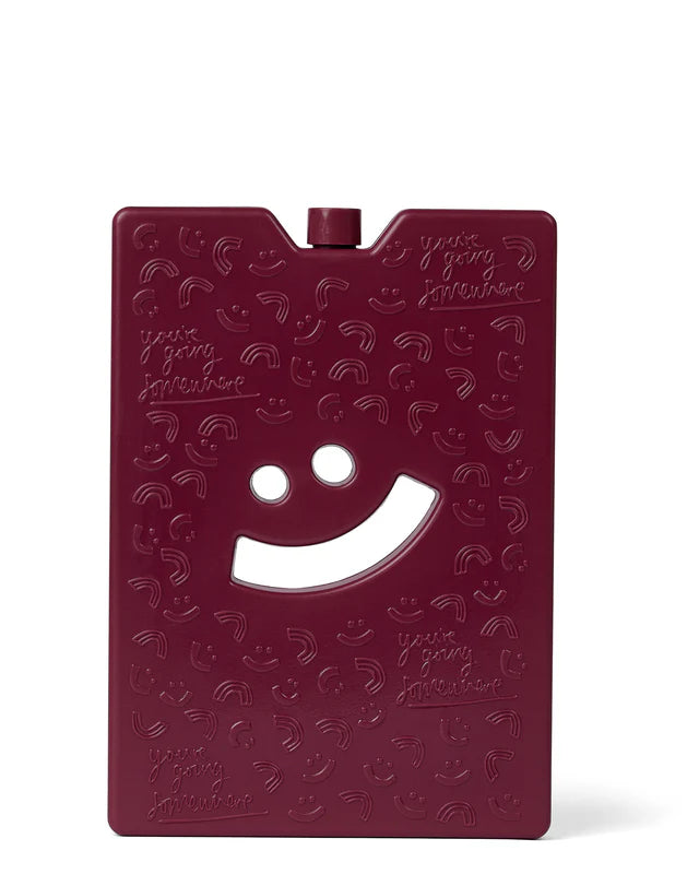 ice brick large burgundy the somewhere co
